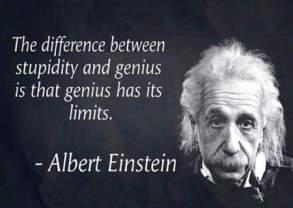 alberteinstein quote stupidity vs genius